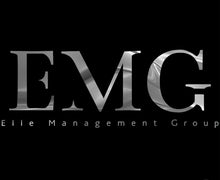 Load image into Gallery viewer, Standard Logo Package