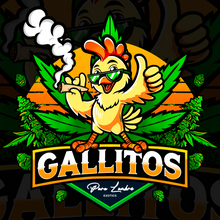 Load image into Gallery viewer, Premium Package Logo